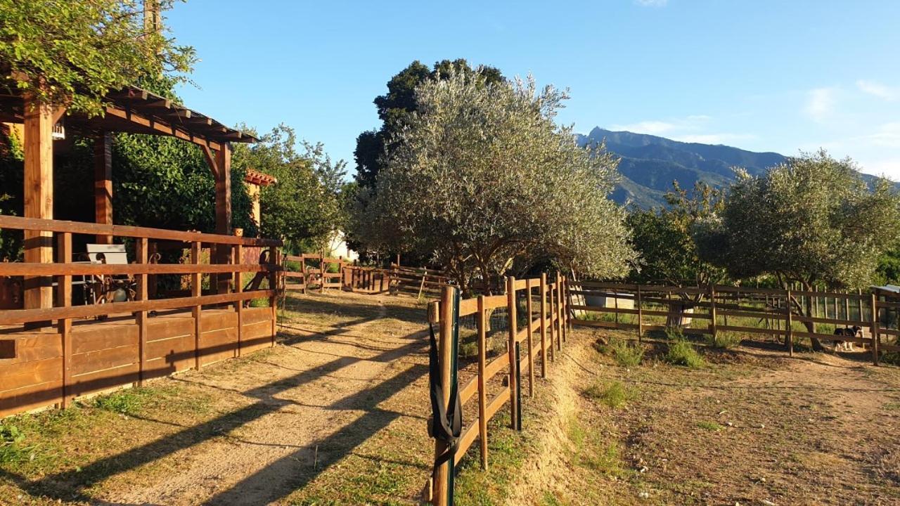 Chambre d'hôtes le petit Ranch Los Masos Exterior foto